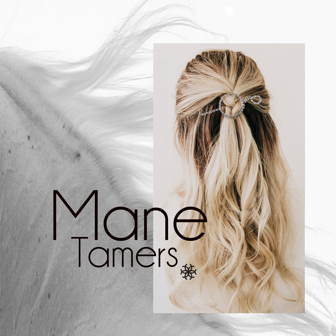 Lariat - Triple Rope Twist Mane Tamer Hair Pin in Silver
