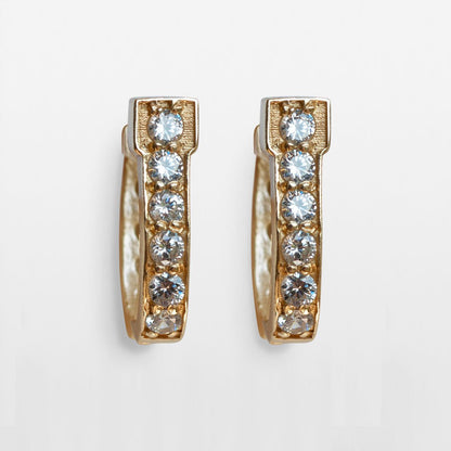 Colton - Diamond Cut Horseshoe Coin Earring in Gold